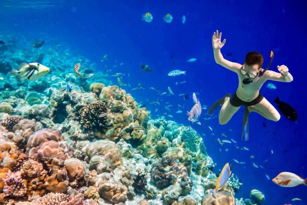 Paradise Retreat, Maafushi Εξωτερικό φωτογραφία