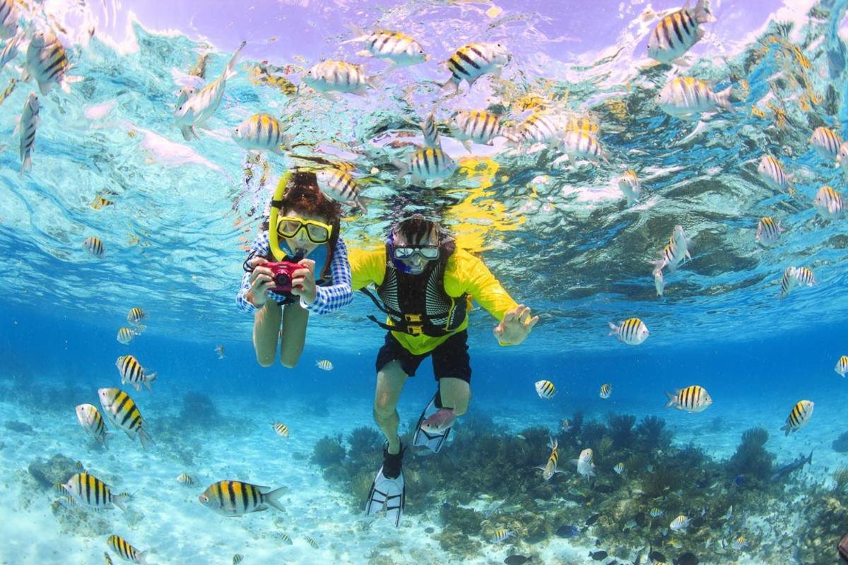 Paradise Retreat, Maafushi Εξωτερικό φωτογραφία