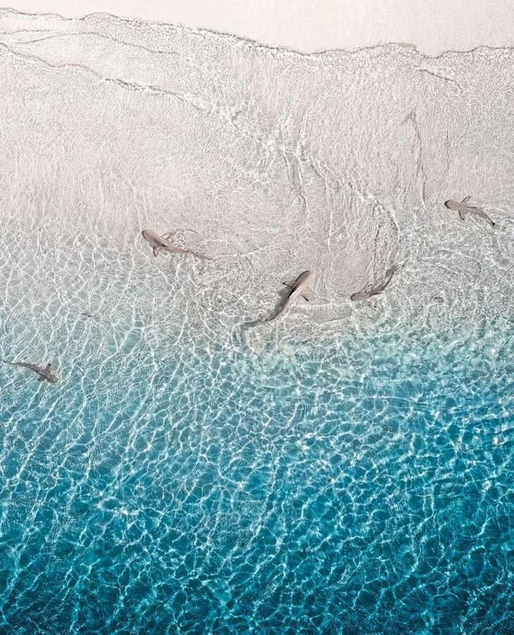 Paradise Retreat, Maafushi Εξωτερικό φωτογραφία